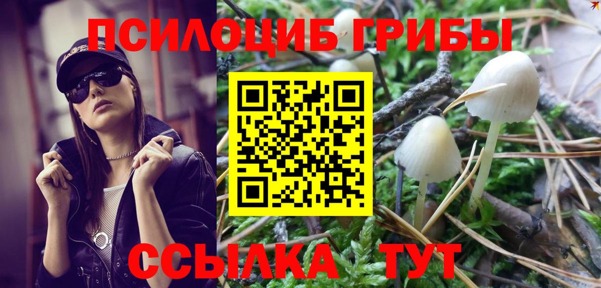 Галлюциногенные грибы MAGIC MUSHROOMS Красногорск