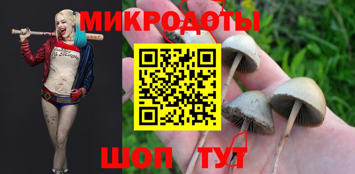 Красногорск  купить наркотики сайты  Псилоцибиновые грибы мицелий  Вход с VPN  Псилоцибиновые грибы GOLDEN TEACHER 